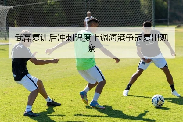 武磊复训后冲刺强度上调海港争冠复出观察